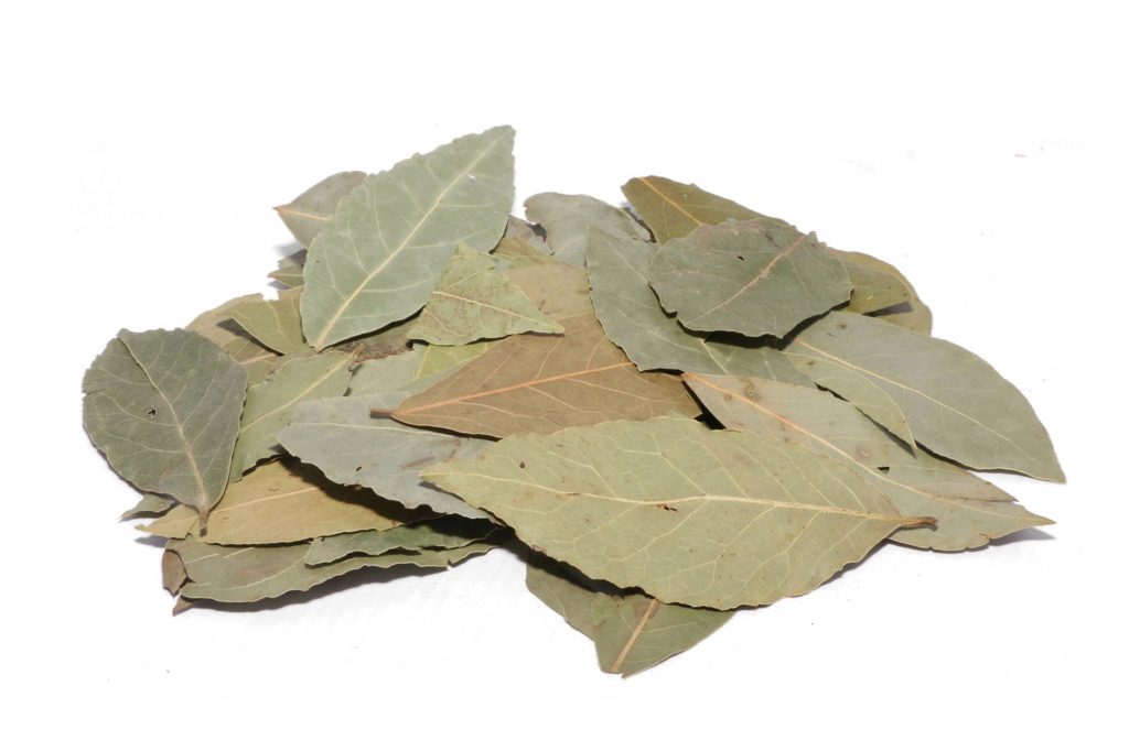 Laurel Leaves Al Garas For Spices & Herbs